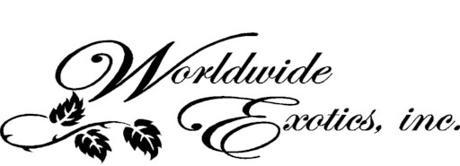 Worldwide Exotics Inc logo